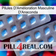 Anaconda Male Enhancement Pills viagra4